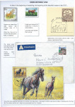 horses-companion-of-man-04
