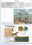 horses-companion-of-man-05