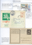 horses-companion-of-man-07