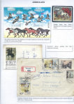 horses-companion-of-man-16