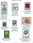 flowers-from-around-the-world-02