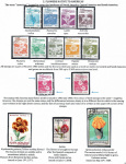 flowers-from-around-the-world-04