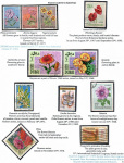 flowers-from-around-the-world-05