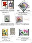 flowers-from-around-the-world-12