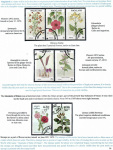 flowers-from-around-the-world-16