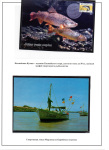 from-rogatiny-to-a-trawler-05_08