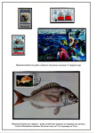 from-rogatiny-to-a-trawler-09_03