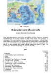 the-underwater-world-of-coral-reefs_01