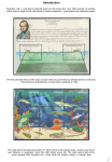 the-underwater-world-of-coral-reefs_02