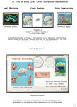 the-underwater-world-of-coral-reefs_12