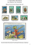 the-underwater-world-of-coral-reefs_18