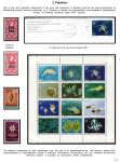 the-underwater-world-of-coral-reefs_26