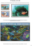 the-underwater-world-of-coral-reefs_77