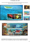 the-underwater-world-of-coral-reefs_78