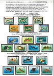philately-as-a-real-opportunity-for-education-in-biodiversity-protection-06
