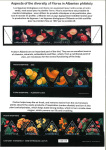 philately-as-a-real-opportunity-for-education-in-biodiversity-protection-48