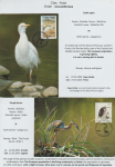world-of-birds-pride-of-special-nature-reserve-gornje-podunavlje-03