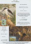 world-of-birds-pride-of-special-nature-reserve-gornje-podunavlje-05