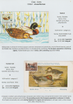 world-of-birds-pride-of-special-nature-reserve-gornje-podunavlje-08