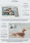 world-of-birds-pride-of-special-nature-reserve-gornje-podunavlje-15