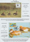 world-of-birds-pride-of-special-nature-reserve-gornje-podunavlje-16