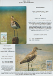 world-of-birds-pride-of-special-nature-reserve-gornje-podunavlje-20