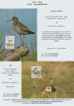 world-of-birds-pride-of-special-nature-reserve-gornje-podunavlje-24