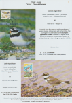 world-of-birds-pride-of-special-nature-reserve-gornje-podunavlje-25