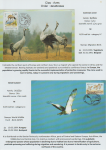 world-of-birds-pride-of-special-nature-reserve-gornje-podunavlje-31