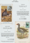 world-of-birds-pride-of-special-nature-reserve-gornje-podunavlje-32