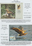 world-of-birds-pride-of-special-nature-reserve-gornje-podunavlje-35