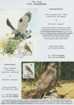 world-of-birds-pride-of-special-nature-reserve-gornje-podunavlje-41
