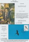 world-of-birds-pride-of-special-nature-reserve-gornje-podunavlje-43