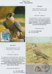world-of-birds-pride-of-special-nature-reserve-gornje-podunavlje-44