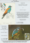 world-of-birds-pride-of-special-nature-reserve-gornje-podunavlje-46