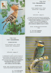 world-of-birds-pride-of-special-nature-reserve-gornje-podunavlje-47