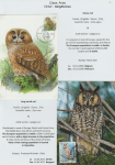 world-of-birds-pride-of-special-nature-reserve-gornje-podunavlje-48