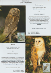 world-of-birds-pride-of-special-nature-reserve-gornje-podunavlje-49