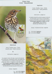 world-of-birds-pride-of-special-nature-reserve-gornje-podunavlje-57