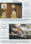 world-of-birds-pride-of-special-nature-reserve-gornje-podunavlje-58