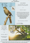world-of-birds-pride-of-special-nature-reserve-gornje-podunavlje-61