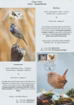 world-of-birds-pride-of-special-nature-reserve-gornje-podunavlje-62