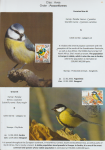 world-of-birds-pride-of-special-nature-reserve-gornje-podunavlje-63