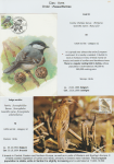 world-of-birds-pride-of-special-nature-reserve-gornje-podunavlje-64