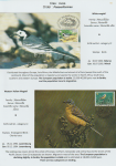 world-of-birds-pride-of-special-nature-reserve-gornje-podunavlje-66