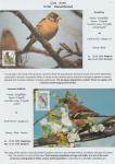 world-of-birds-pride-of-special-nature-reserve-gornje-podunavlje-67