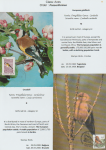 world-of-birds-pride-of-special-nature-reserve-gornje-podunavlje-68