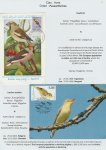 world-of-birds-pride-of-special-nature-reserve-gornje-podunavlje-69