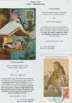 world-of-birds-pride-of-special-nature-reserve-gornje-podunavlje-70