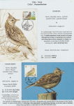 world-of-birds-pride-of-special-nature-reserve-gornje-podunavlje-71